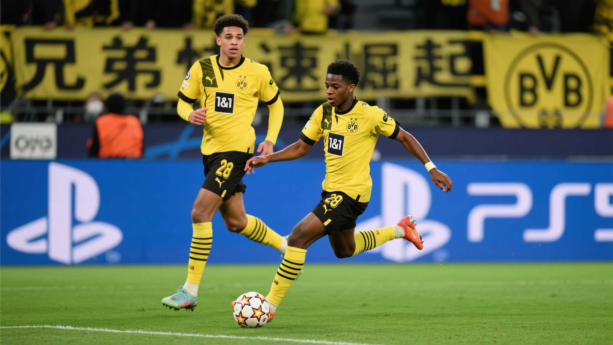 乐鱼 VIP 注册 产品服务